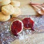 biscuits vegan gluten-free low fat high protein